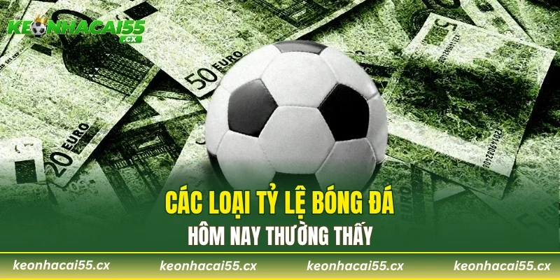 Các loại tỷ lệ bóng đá hôm nay thường thấy