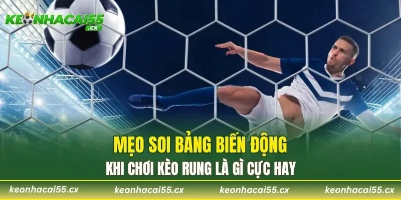 Mẹo soi bảng biến động khi chơi kèo rung là gì cực hay