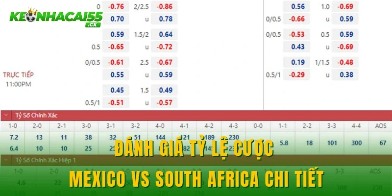 Đánh giá tỷ lệ cược Mexico vs South Africa chi tiết