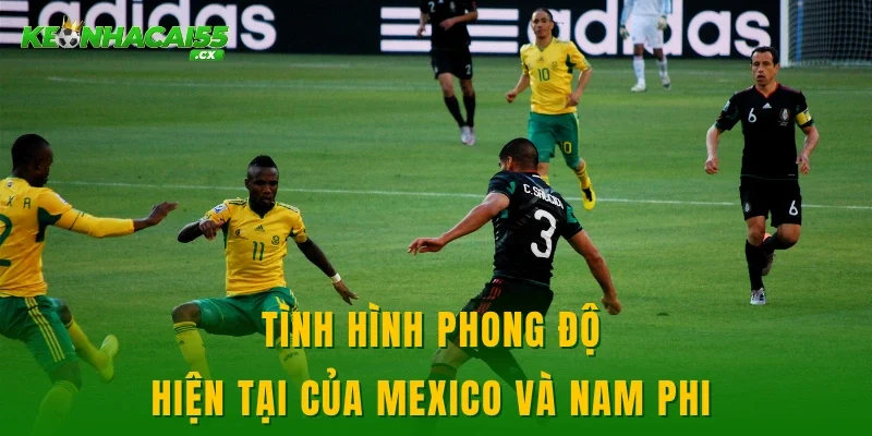 Tình hình phong độ hiện tại của Mexico và Nam Phi